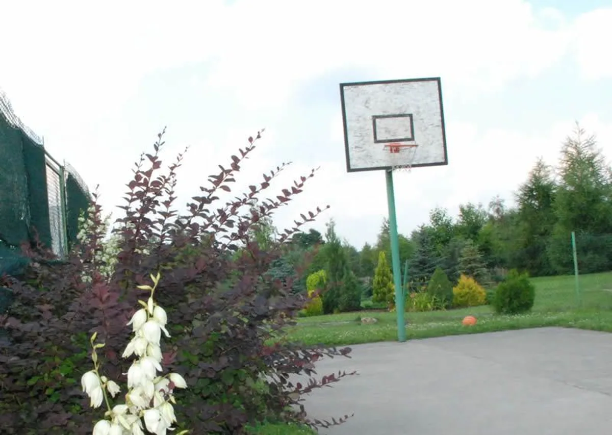 Boisko do koszykówki wśród kwiatów w AgroFarma