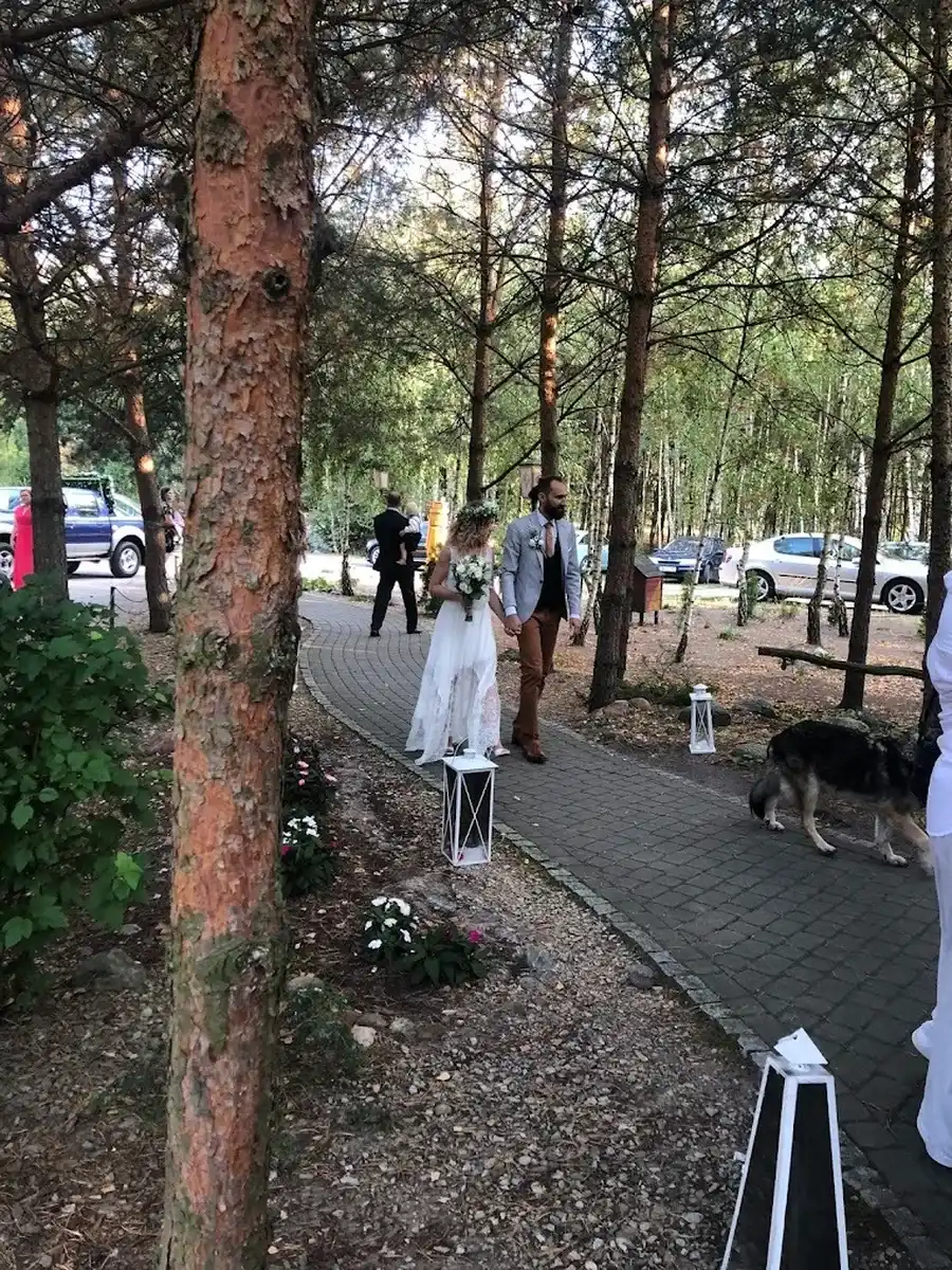 Plenerowy ślub w lesie AgroFarma