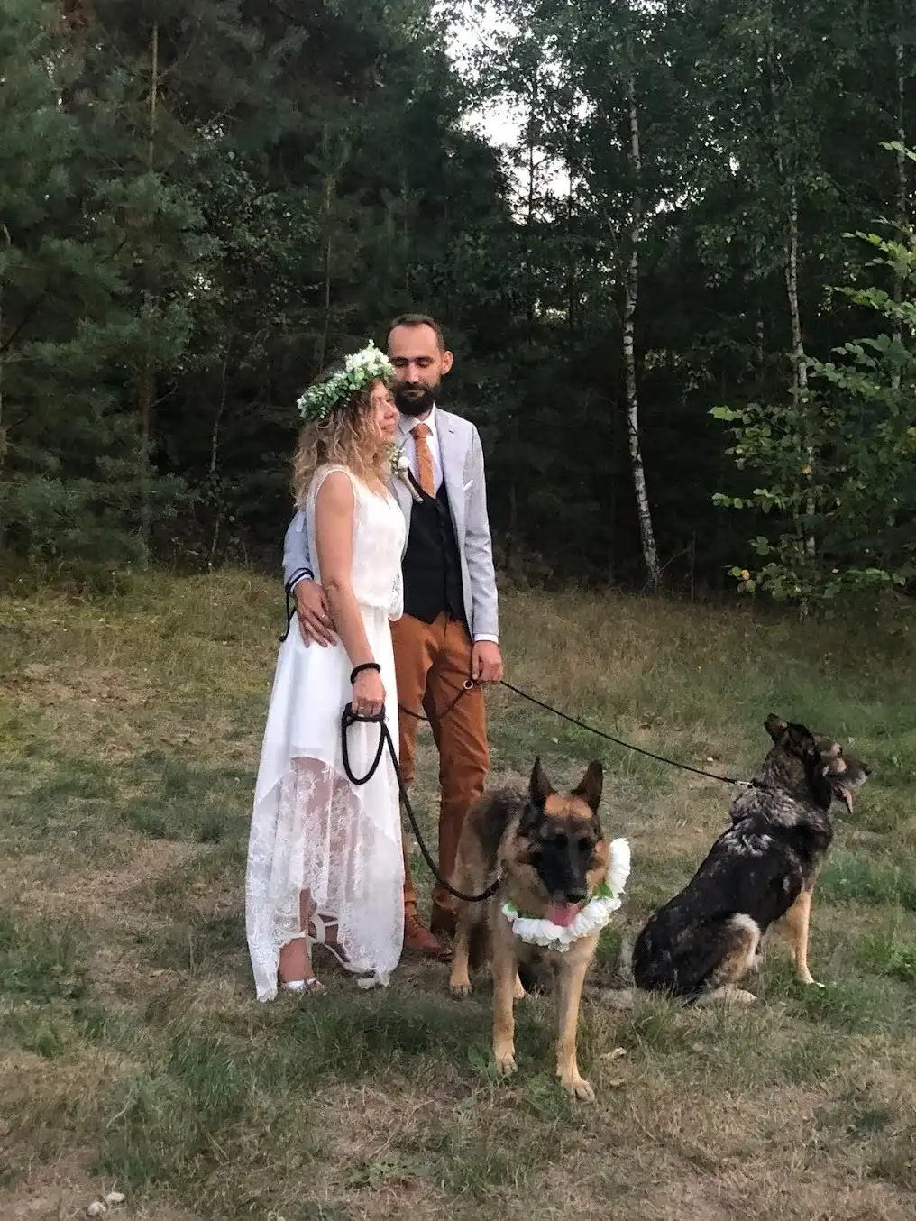 Sesja ślubna z psami na terenie AgroFarma
