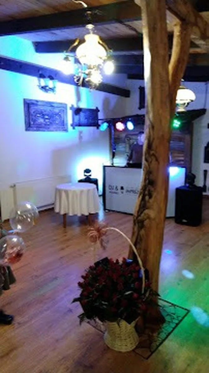 Sala imprezowa z DJ-ką