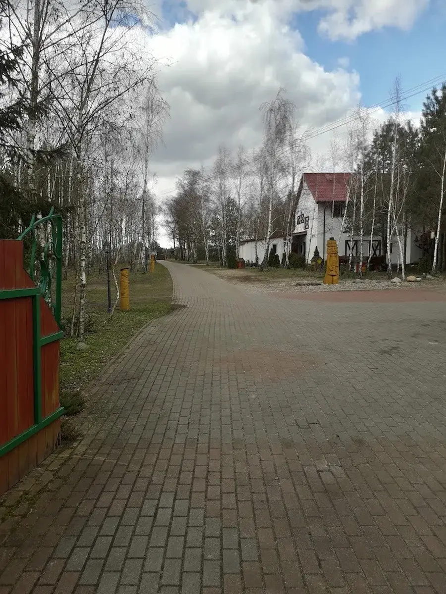 Alejka wejściowa z brzozami i budynkiem AgroFarma