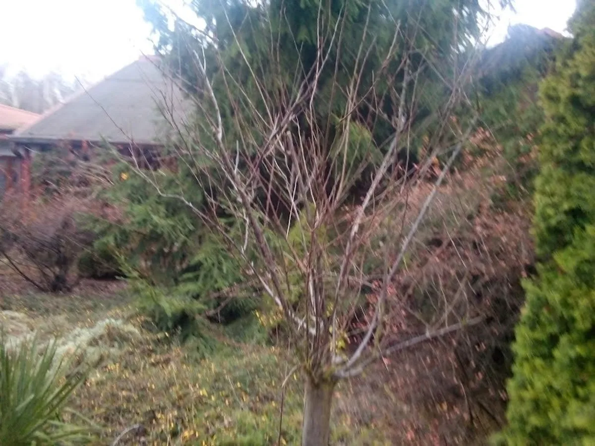 Jesienny ogród i budynek agroturystyczny