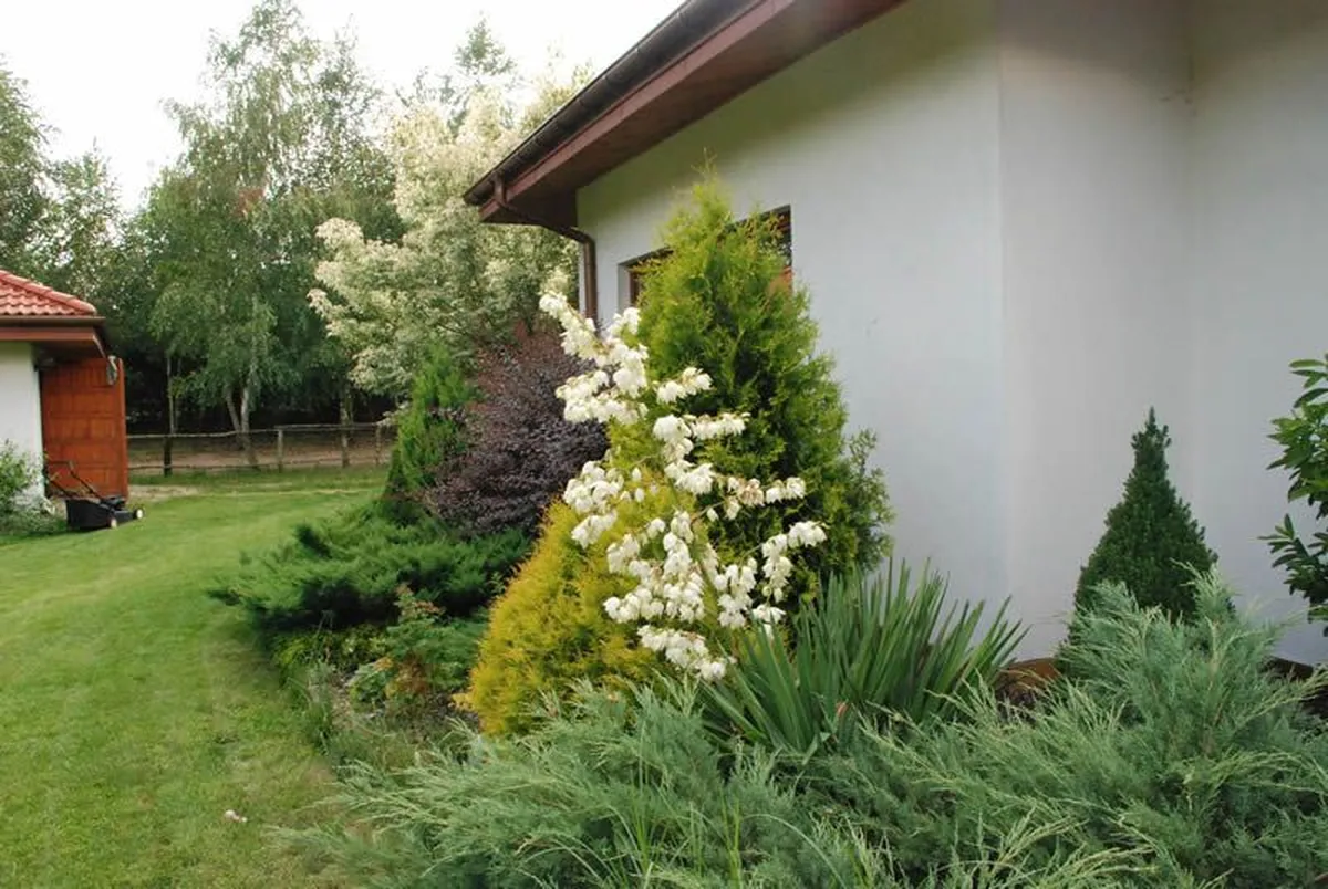 Ogród AgroFarma Gołaszewo — bujna roślinność i budynek