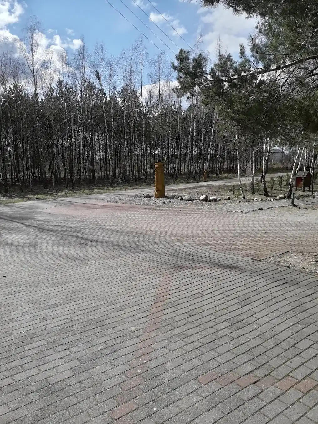 Podjazd z drzewami do AgroFarma