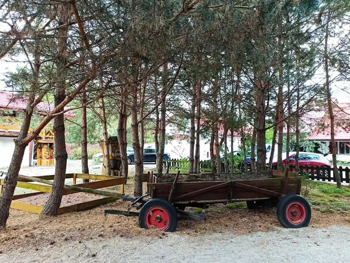 Rustykalny wóz drabiniasty wśród sosen