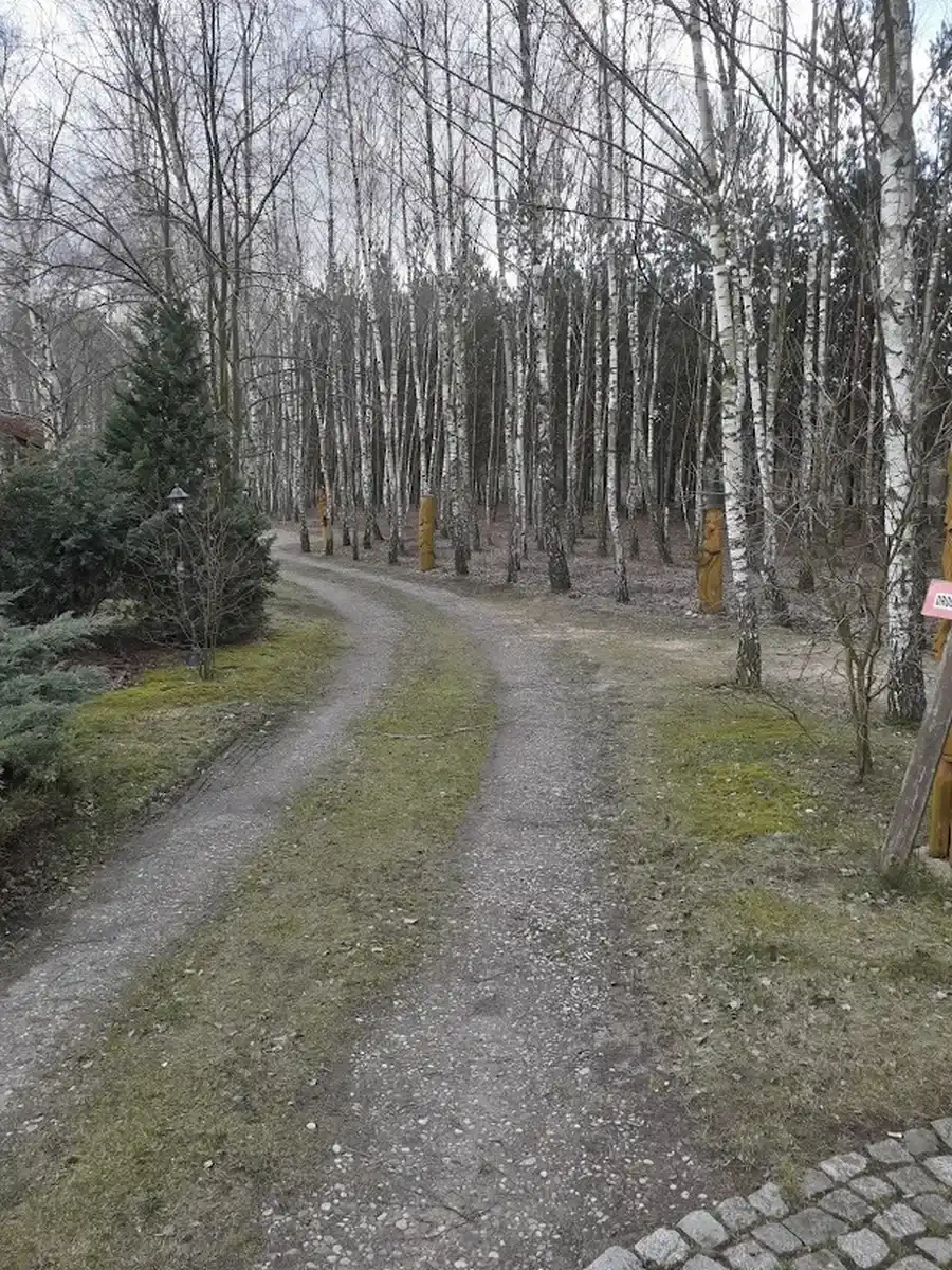 Ścieżka brzozowa z rzeźbami AgroFarma Gołaszewo