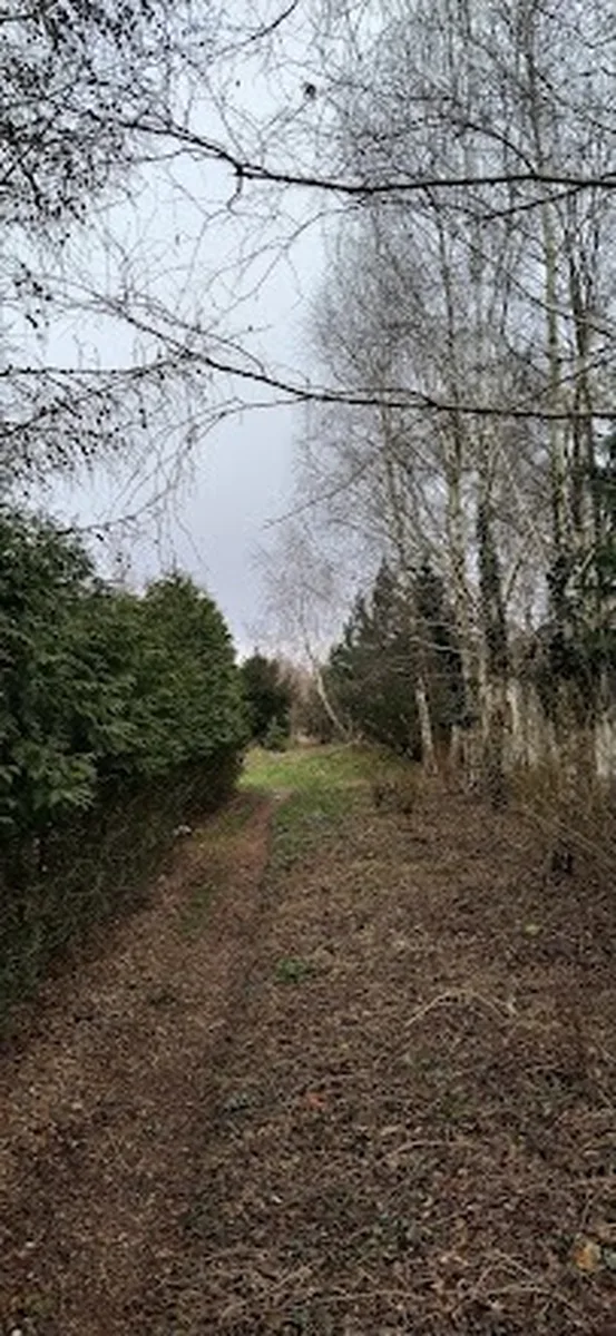 Ścieżka spacerowa wśród drzew AgroFarma Gołaszewo