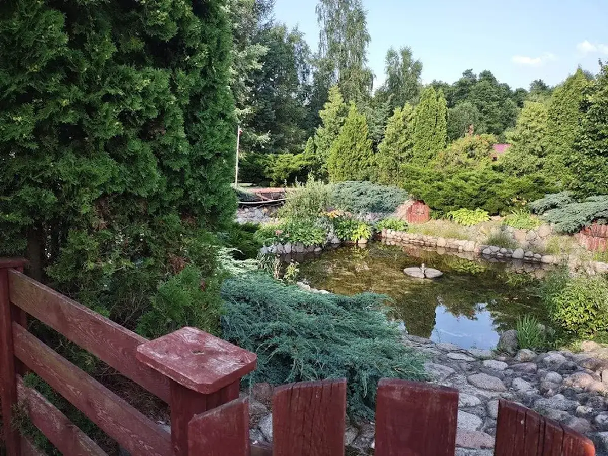 Ozdobny staw z ogrodem — oczko wodne AgroFarma