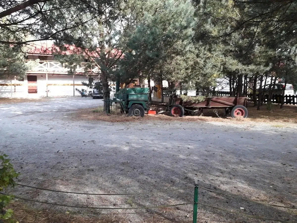 Teren AgroFarmy z wozami i budynkiem