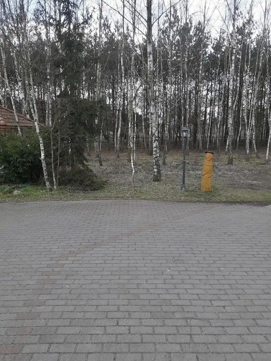 Teren rekreacyjny z parkingiem i lasem AgroFarma