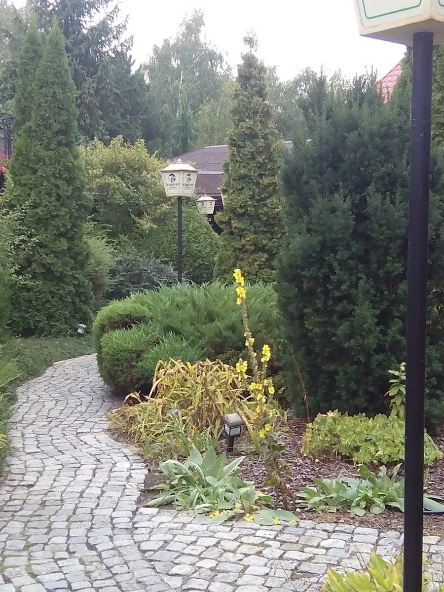 Urokliwa ścieżka w ogrodzie AgroFarma