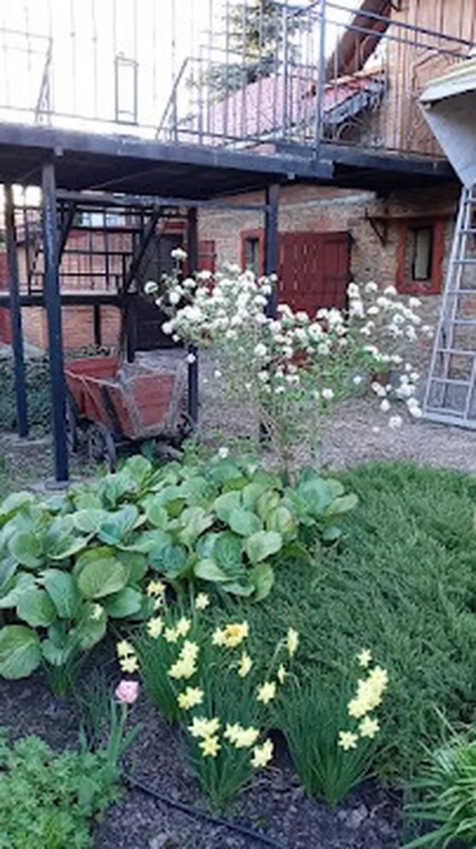 Urokliwy ogród z kwiatami i architekturą agroturystyki