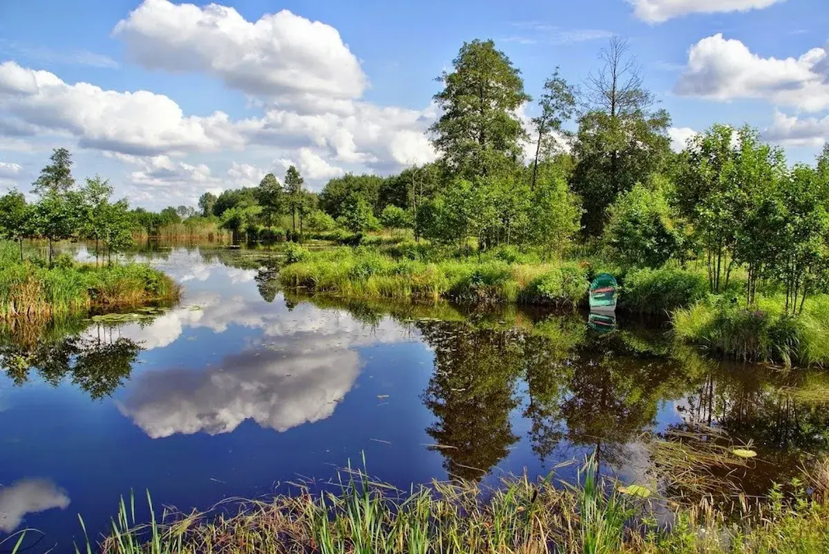 Jezioro z odbiciem chmur i drzew — okolice AgroFarma