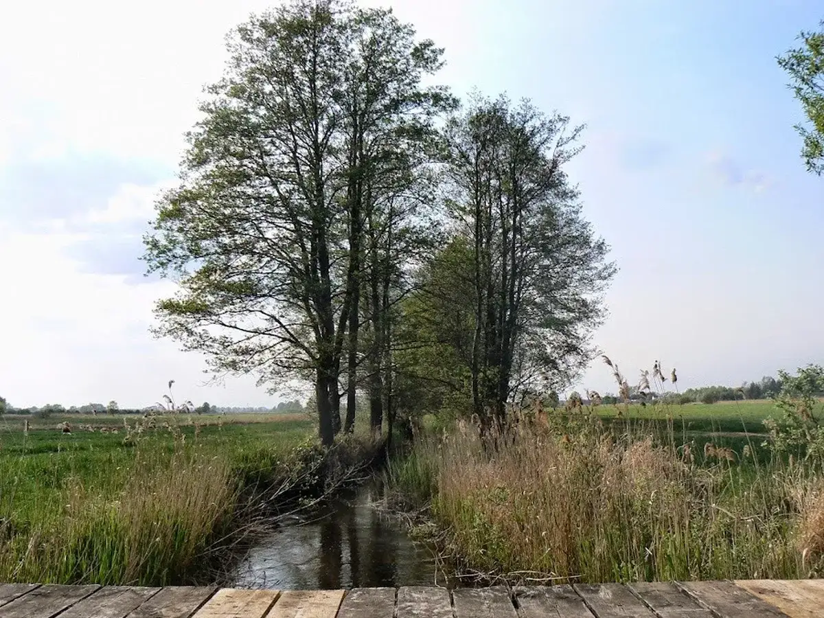 Malowniczy widok na potok i łąki AgroFarma Gołaszewo