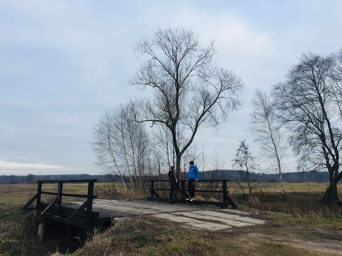 Drewniany mostek nad łąką