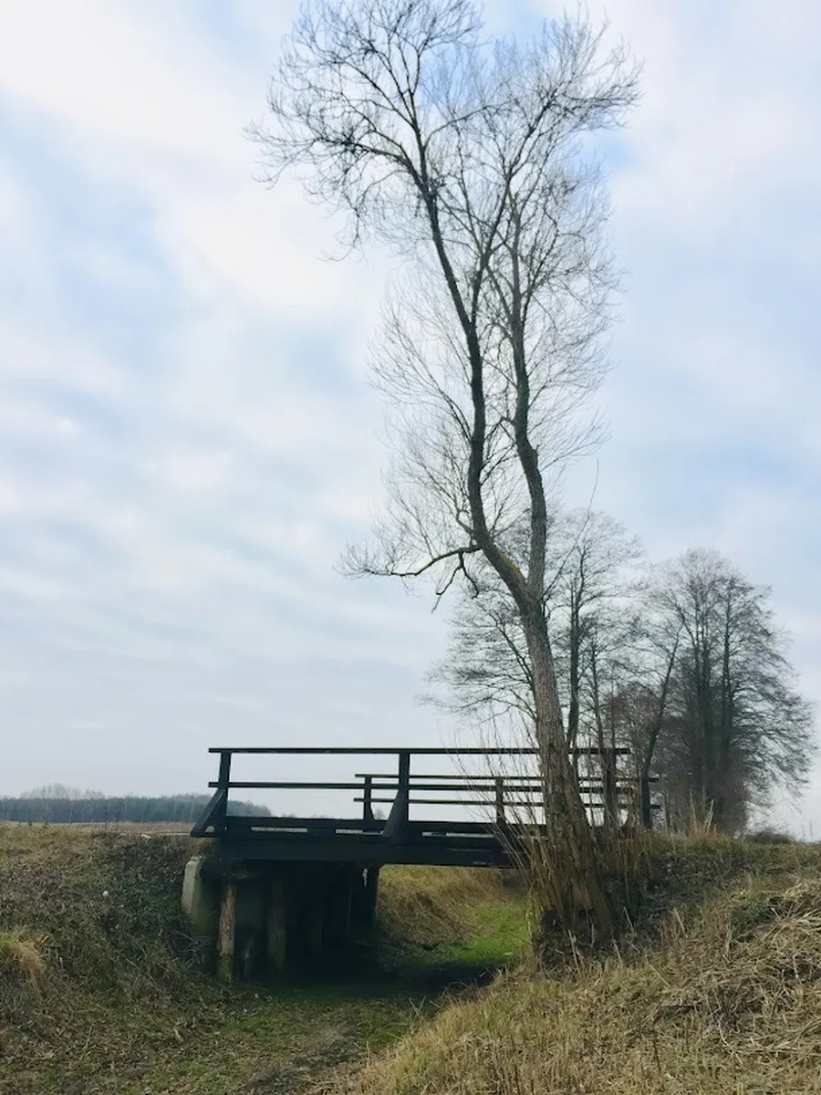 Mostek w zimowym krajobrazie AgroFarma