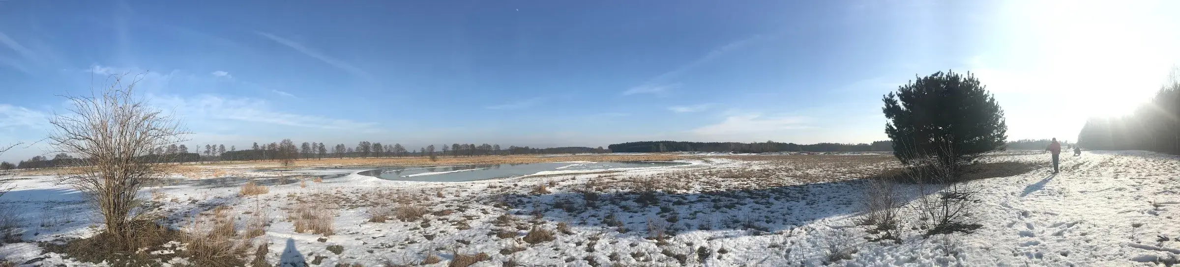 Panorama zimowa — stawy i łąki