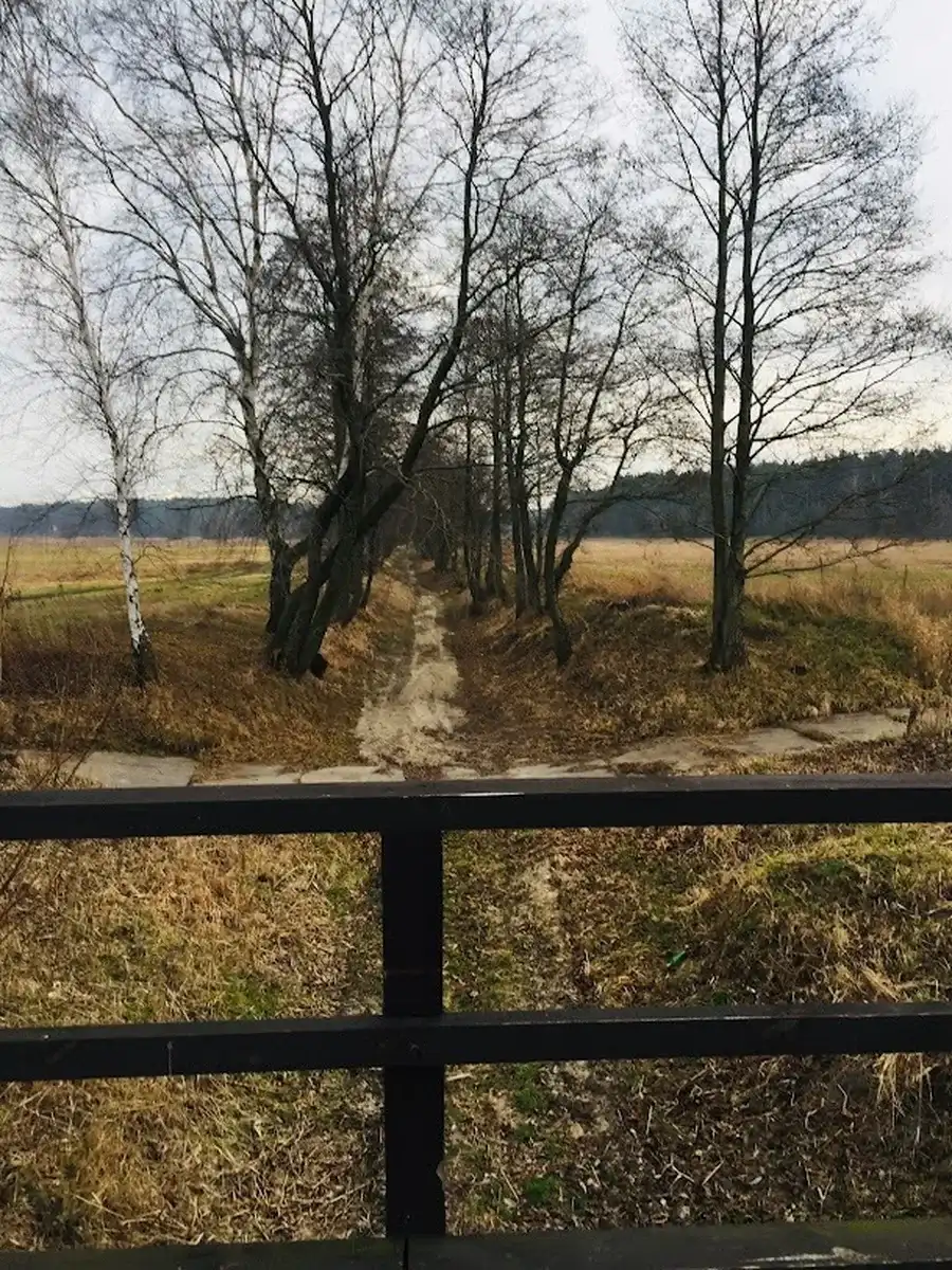 Polna droga wśród drzew i pól — okolice AgroFarma