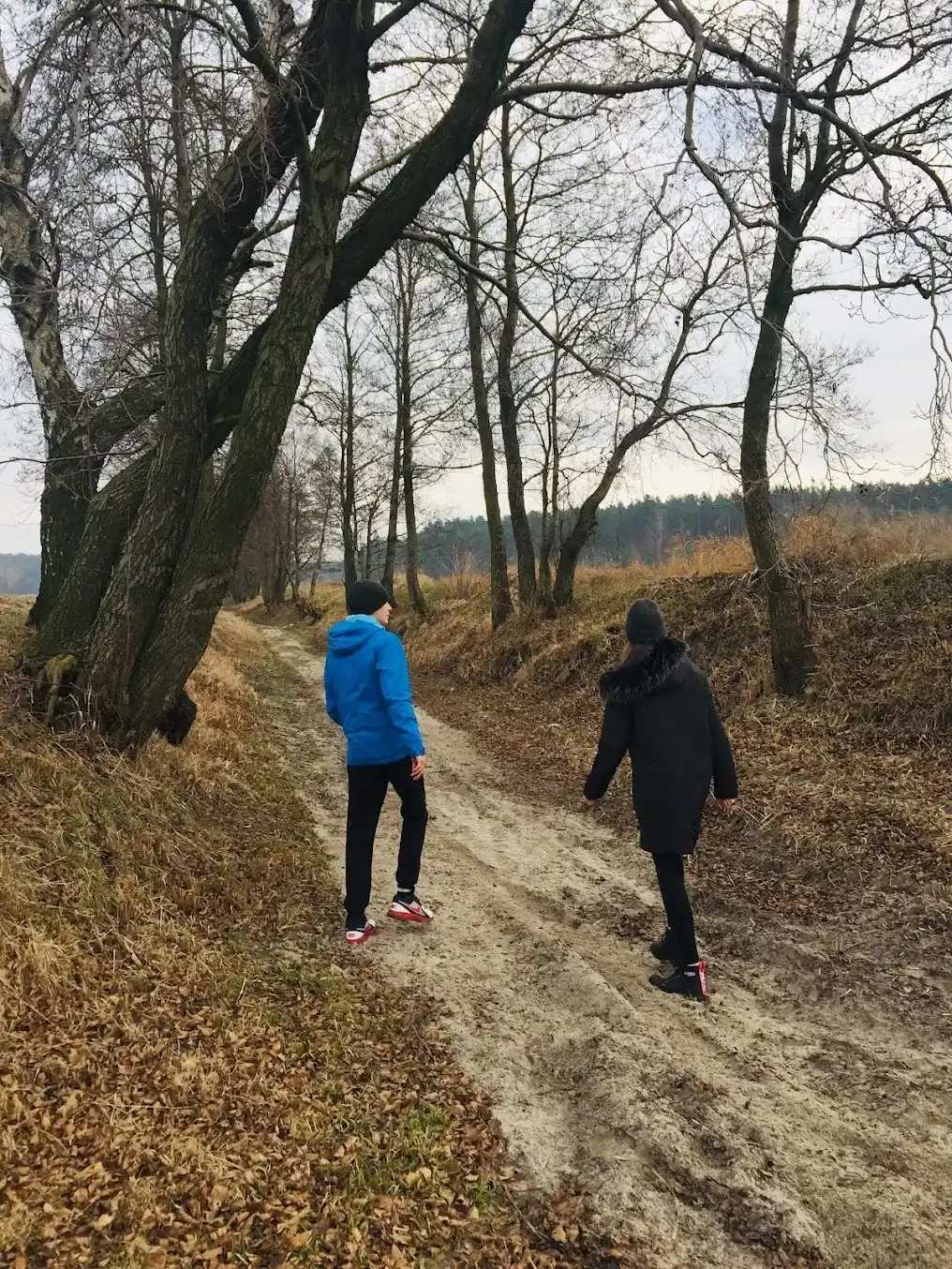 Spacer leśną ścieżką — wypoczynek w naturze