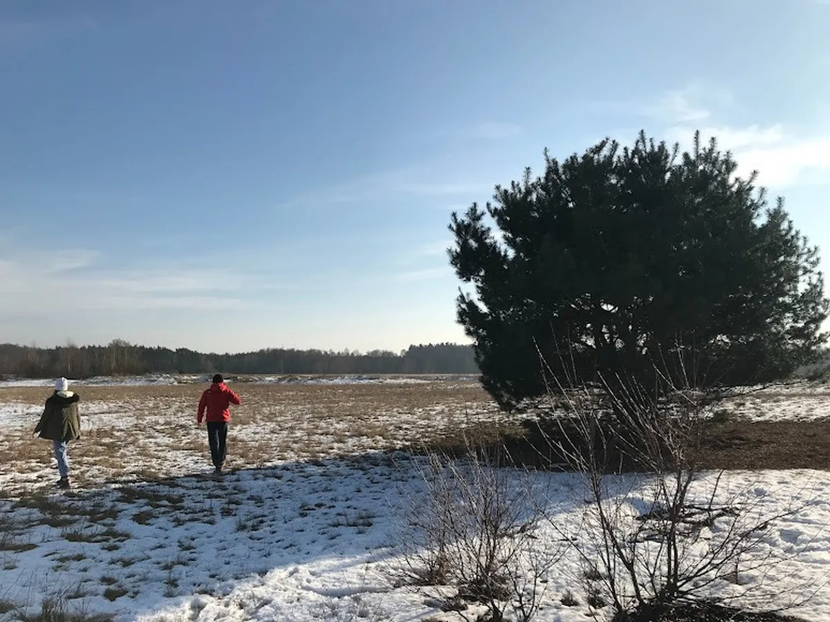 Spacer po zaśnieżonym polu — zimowy wypoczynek w AgroFarma
