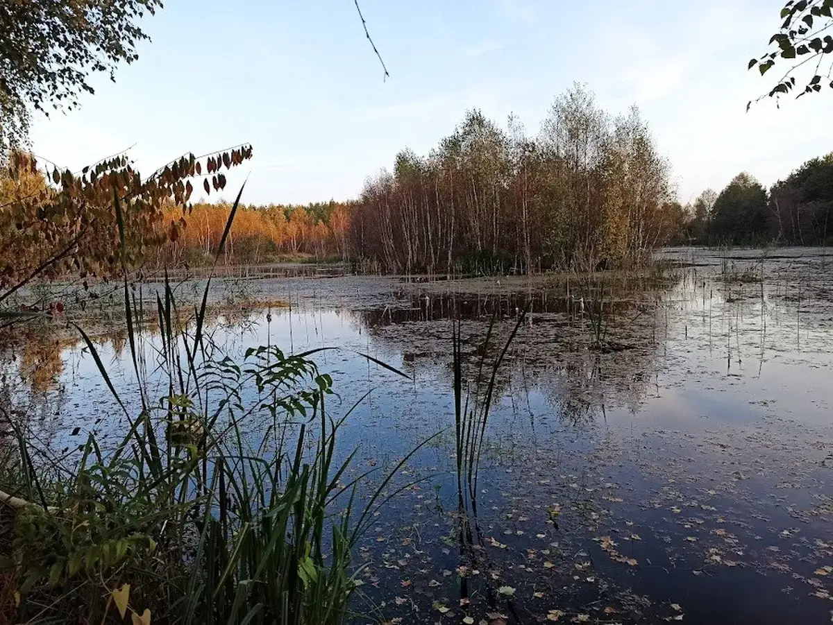 Staw AgroFarma jesienią — malowniczy widok
