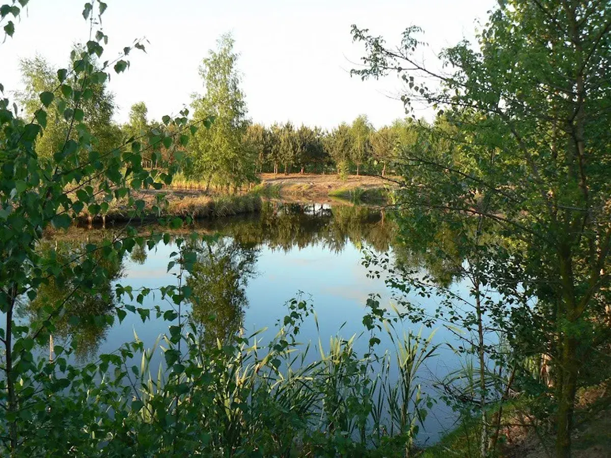 Staw z odbiciami zieleni — spokojny krajobraz AgroFarma