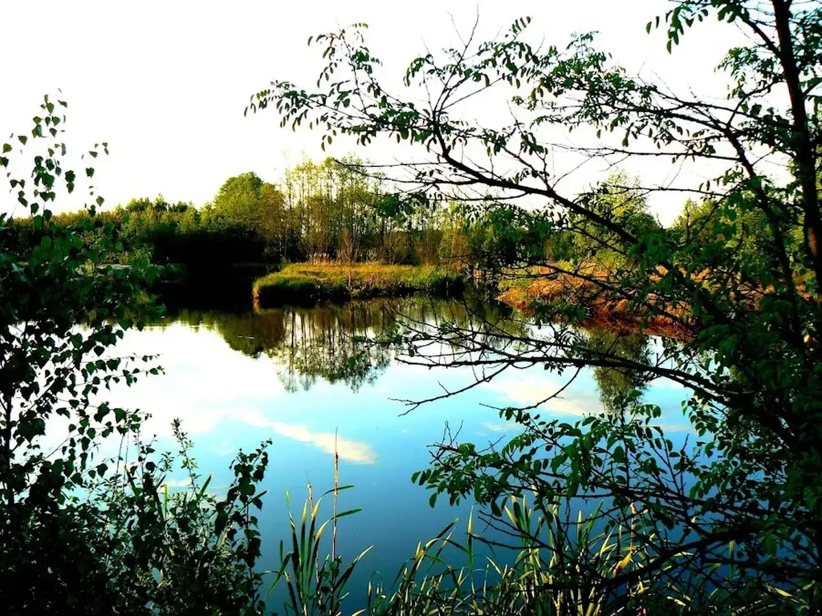 Staw z odbiciem nieba — spokojny krajobraz