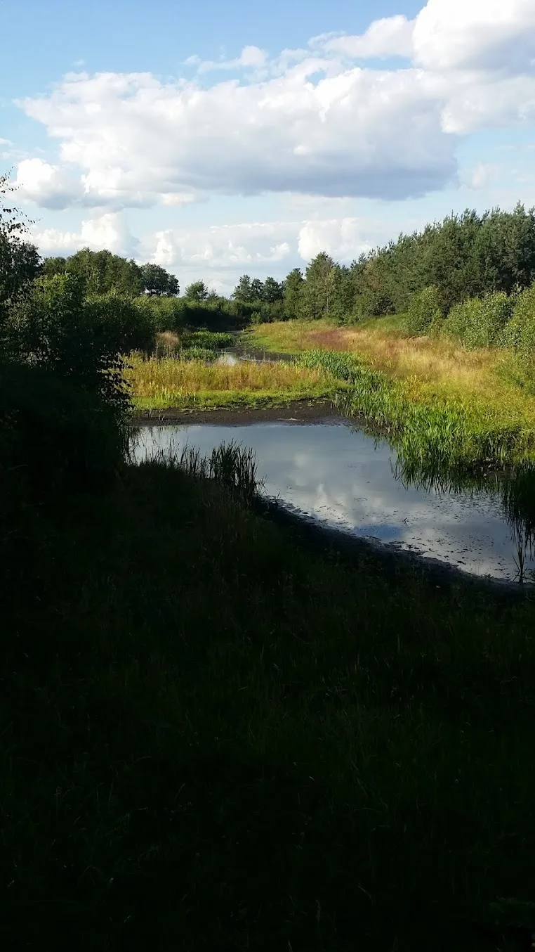 Staw z odbitym niebem — letnie popołudnie w AgroFarma