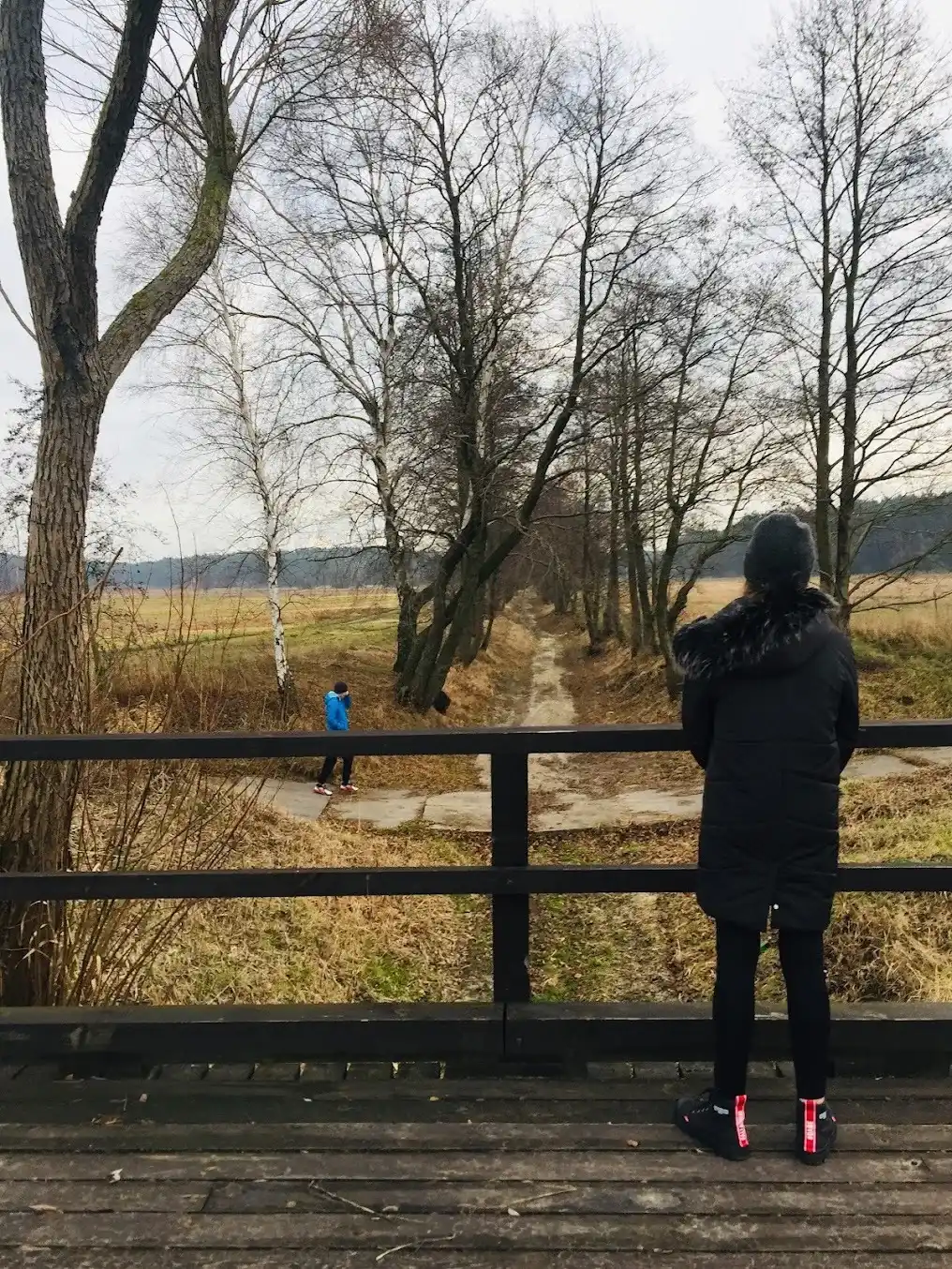 Widok z drewnianego mostu na jesienny krajobraz