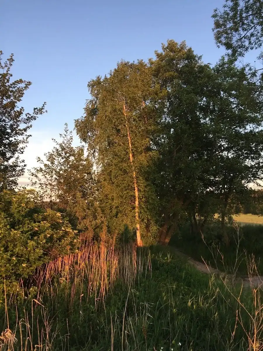 Zachód słońca nad polną ścieżką