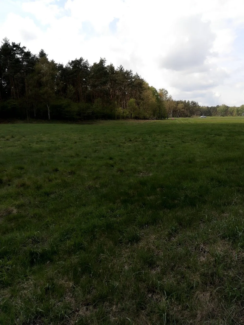 Zielona łąka z lasem w tle — AgroFarma Gołaszewo