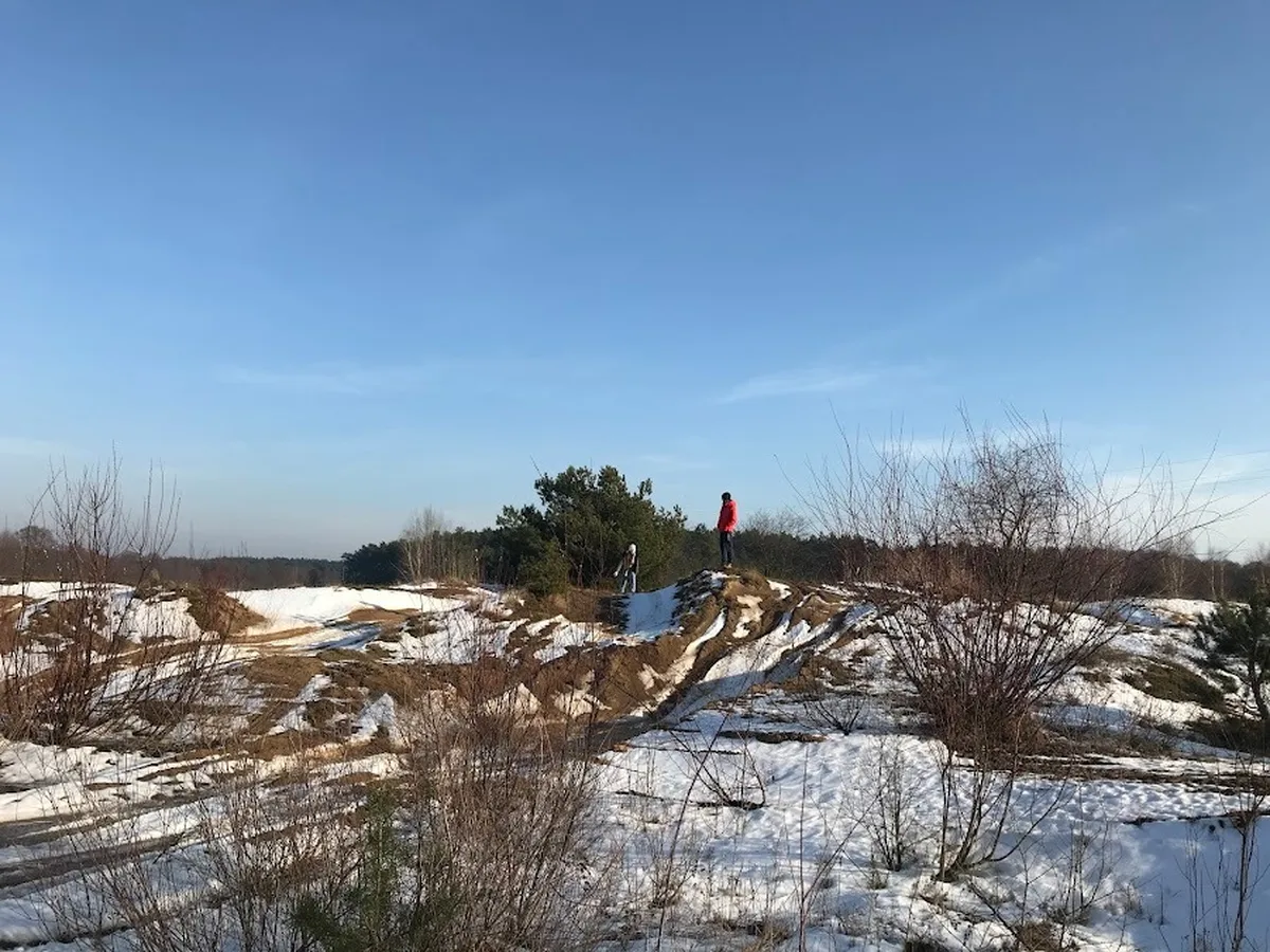 Zimowy krajobraz z wydmami piaszczystymi