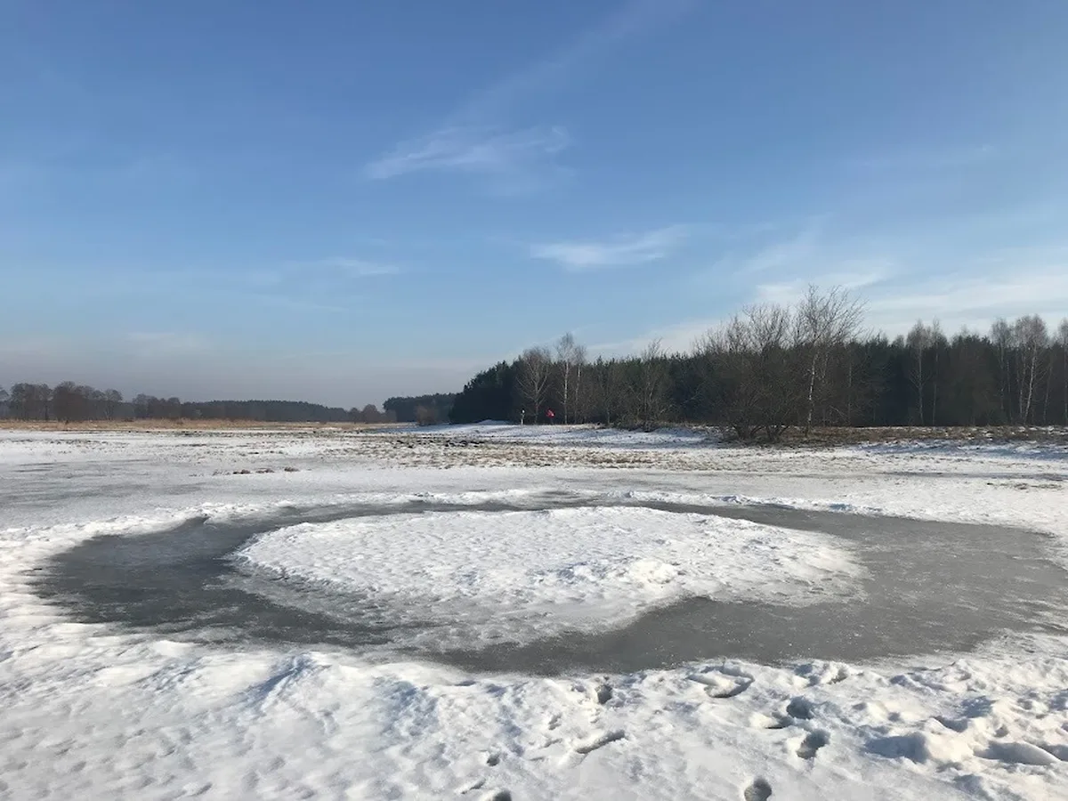 Zimowy krajobraz z zamarzniętym stawem