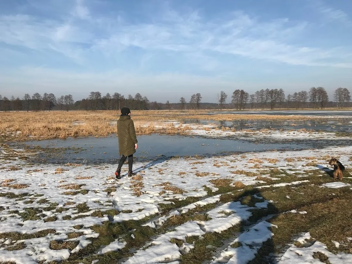 Zimowy spacer po polu z psem — AgroFarma Gołaszewo