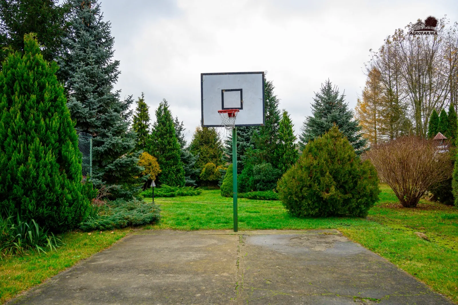Boisko do koszykówki w ogrodzie — atrakcje sportowe AgroFarma