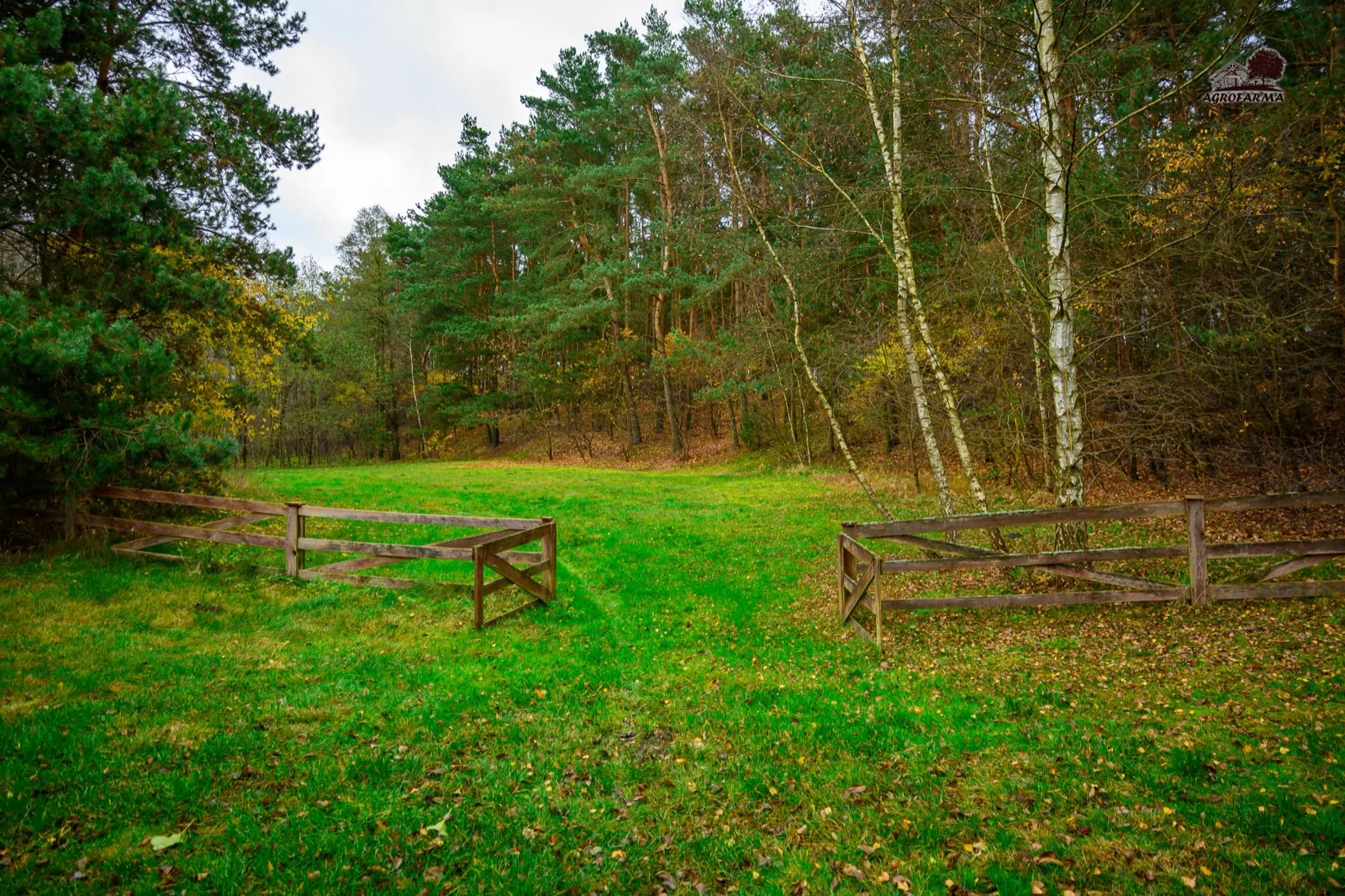 Drewniana brama na polanę leśną — teren AgroFarma