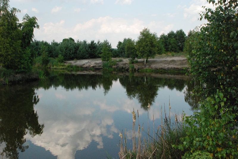 Jezioro — panoramiczny widok z AgroFarma Gołaszewo