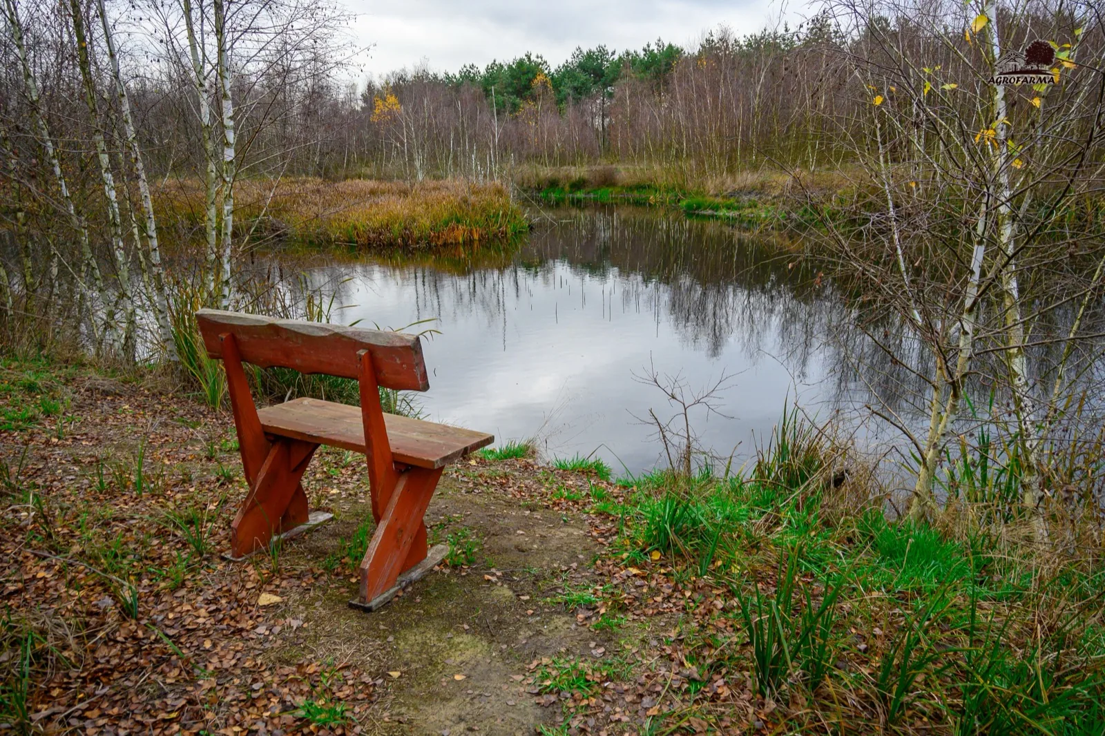 Ławka nad stawem jesienią — miejsce wypoczynku AgroFarma