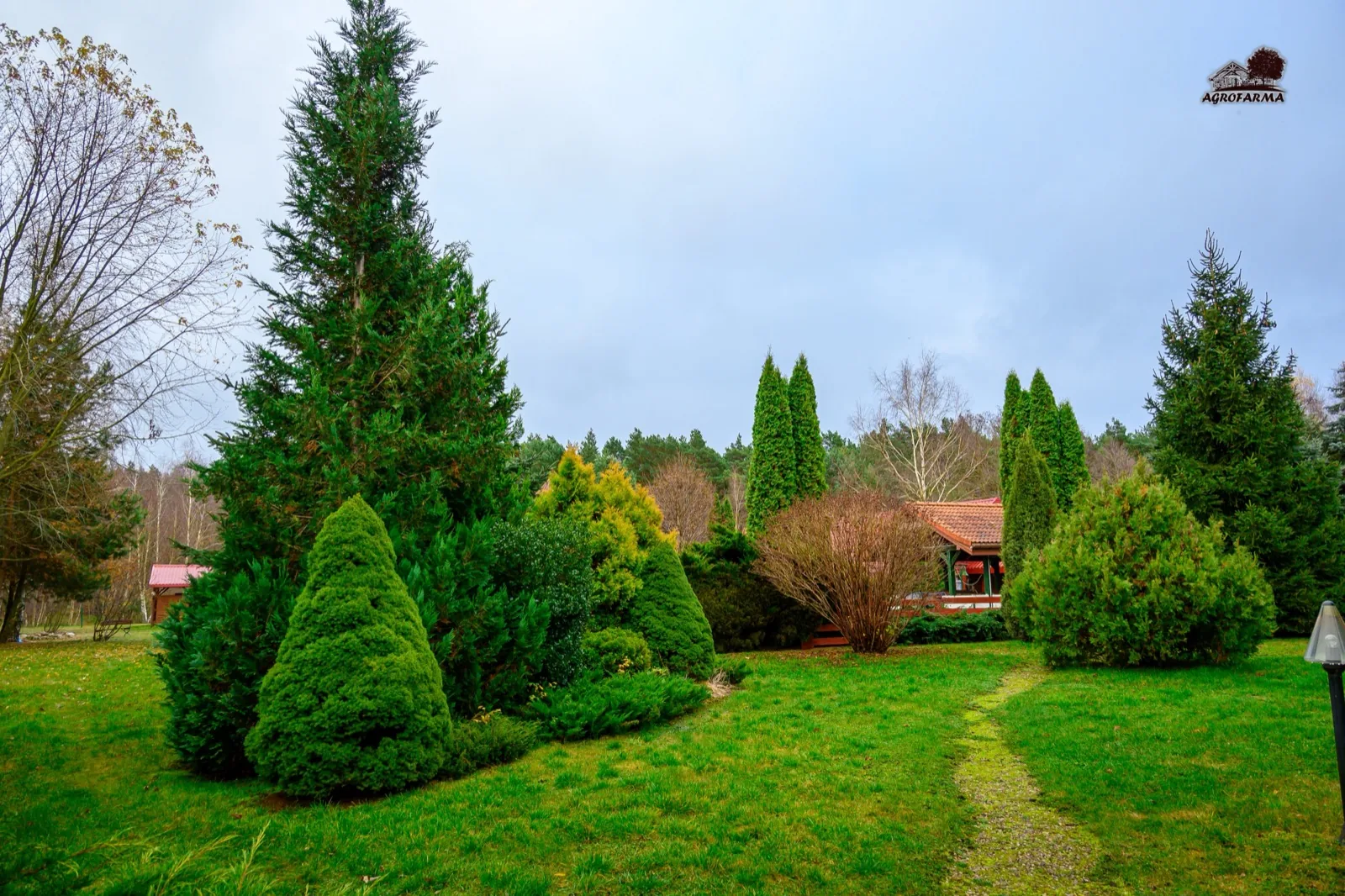 Ogród z iglakami i ścieżką do domku — AgroFarma