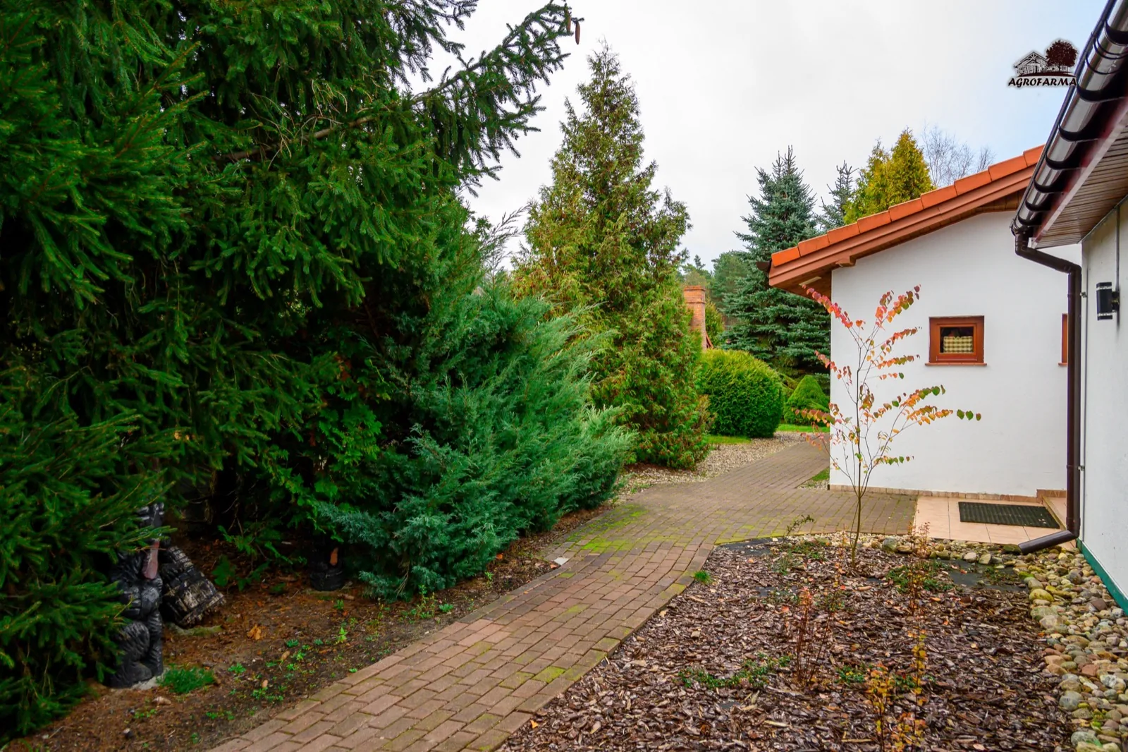 Ogród z alejką i iglakami na terenie AgroFarma