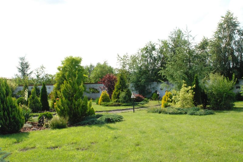 Zielony trawnik w ogrodzie AgroFarma