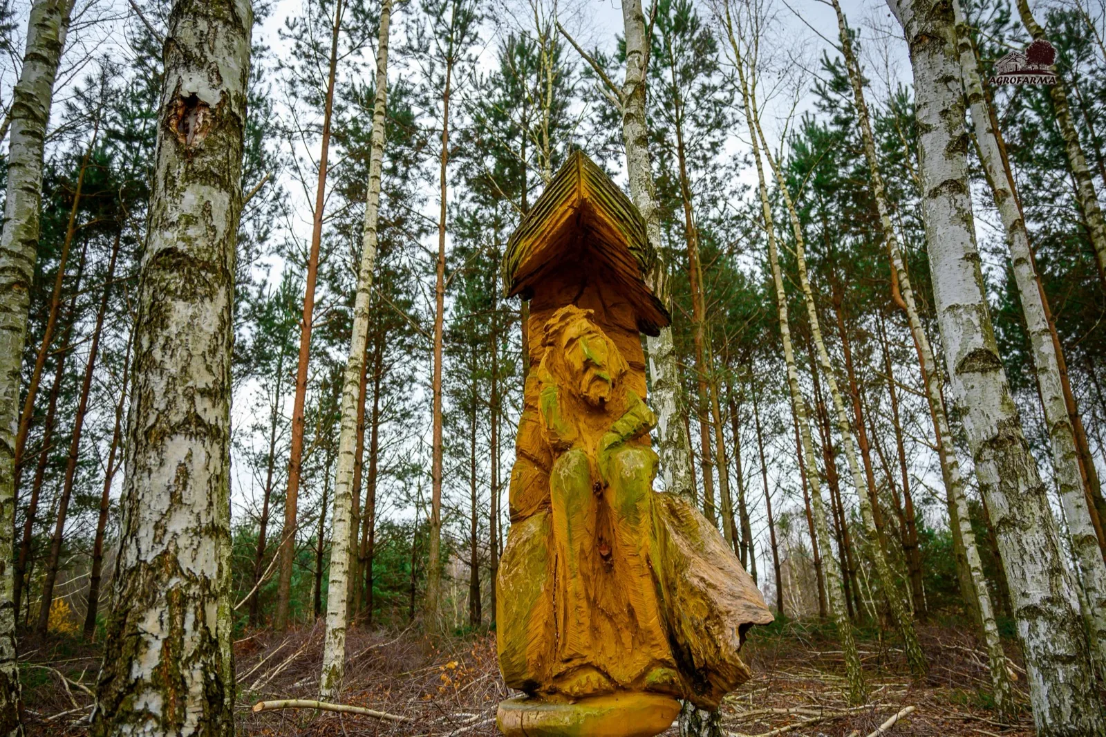 Rzeźba drewniana w lesie brzozowym na terenie AgroFarma