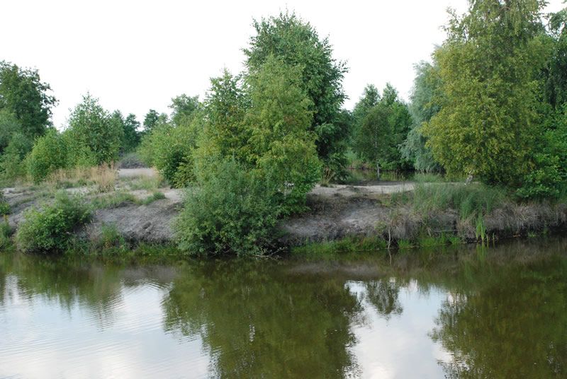 Teren ogrodu AgroFarma Gołaszewo