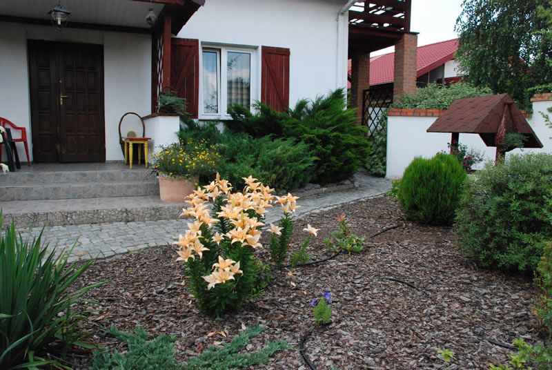 Teren ogrodu AgroFarma — zielona oaza