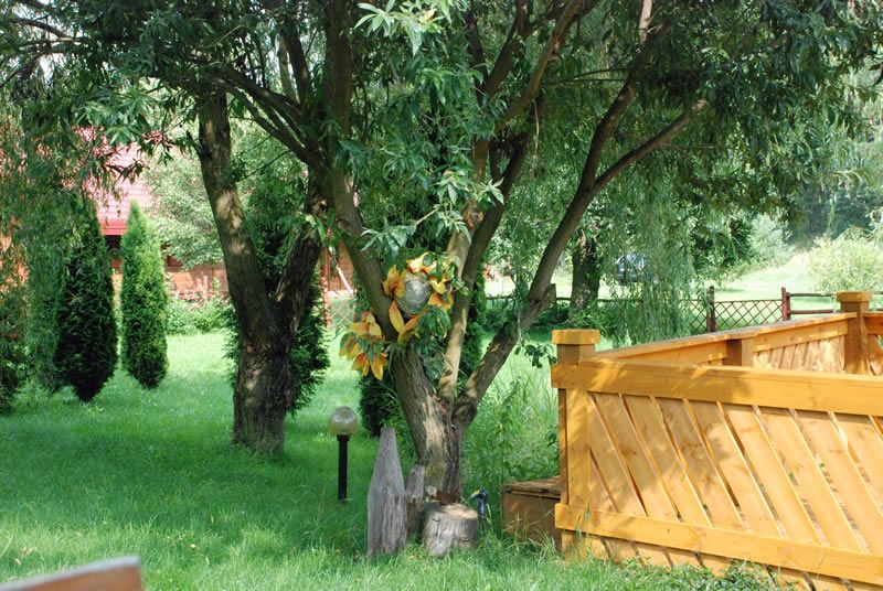 Teren i ogród AgroFarma — zielona okolica