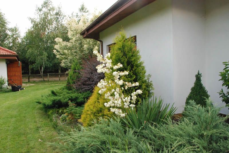 Teren AgroFarma Gołaszewo — jesień