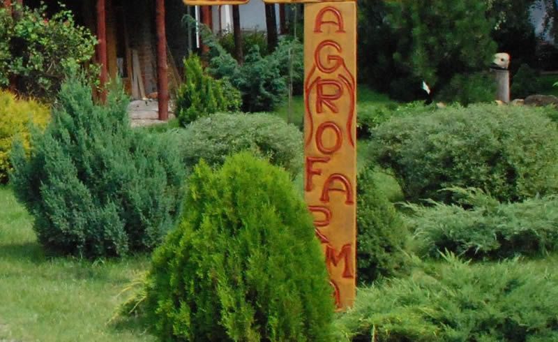 Malowniczy widok na tereny AgroFarma Gołaszewo